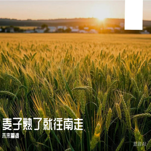 日本六九视频在线观看
