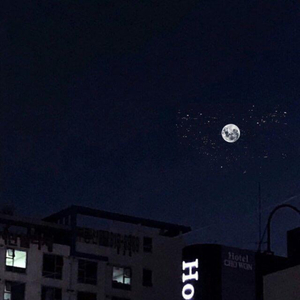 日本六九视频在线观看
